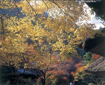 岡山の 紅葉の見どころ